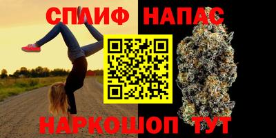 гидропоника Краснознаменск