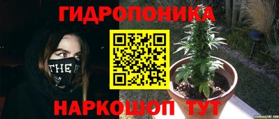 таблы Краснодар