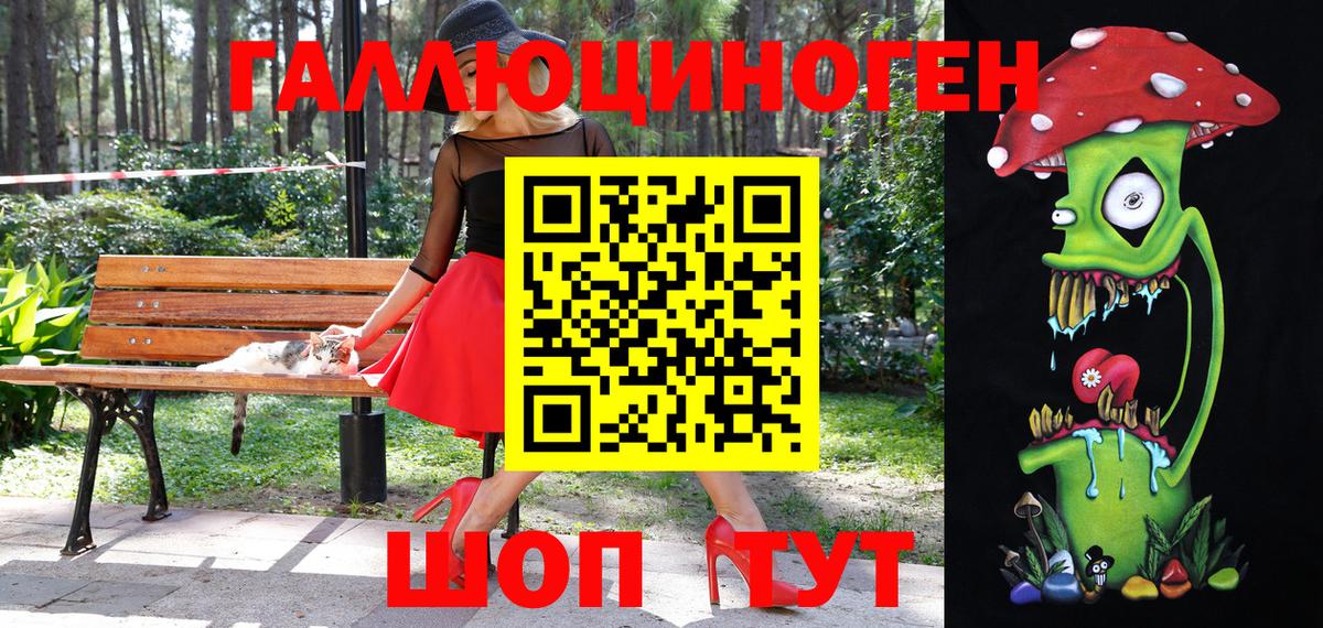Кизилюрт  Галлюциногенные грибы Psilocybe  Вход с VPN 